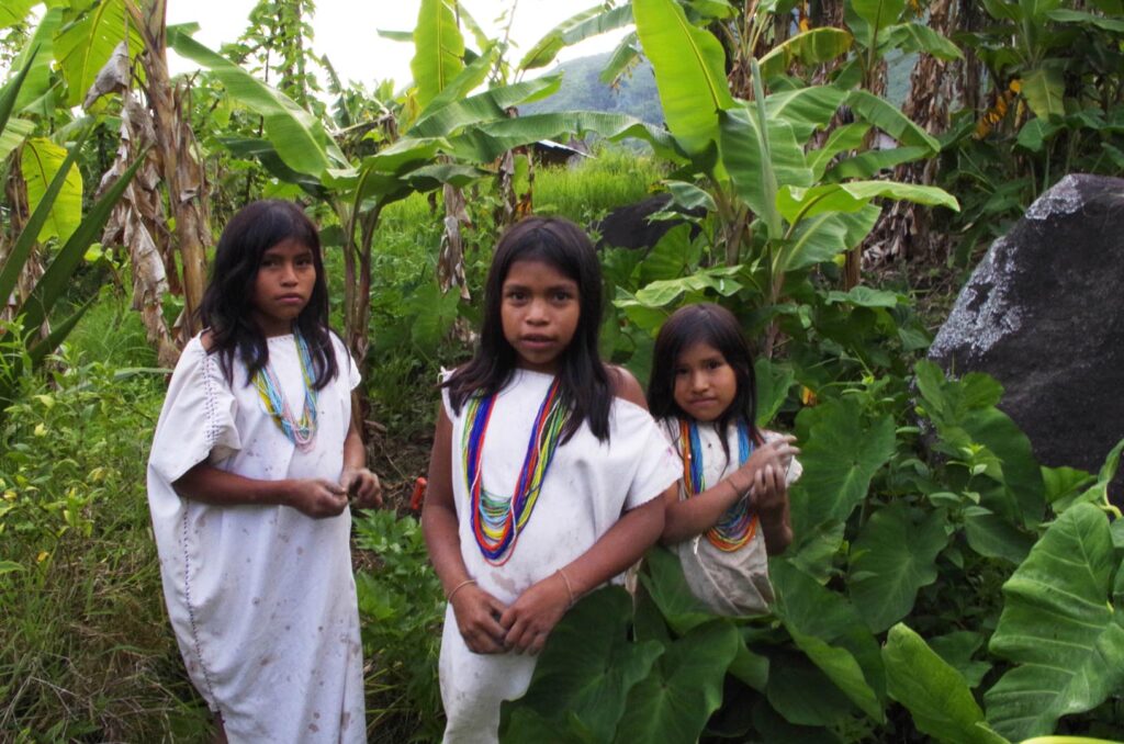 Niñas indígenas Kogi en la selva, sonriendo